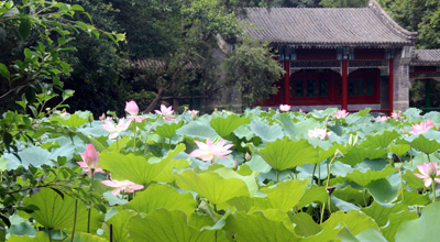 妖精网站免费观看家具福利